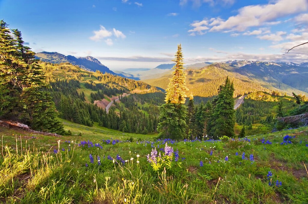 Olympic National Park, Washington, US