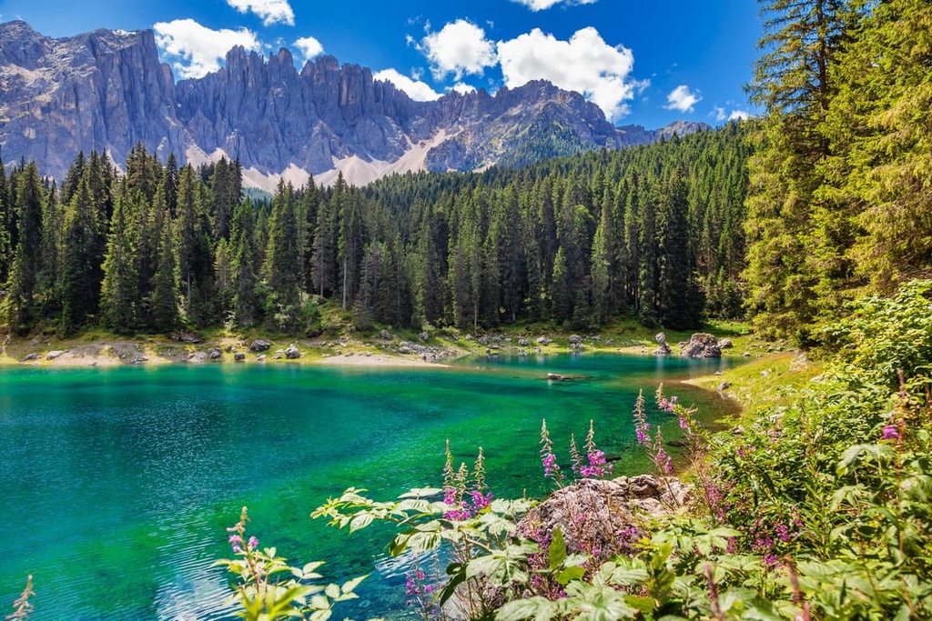 Latemar, West Dolomites, Italy