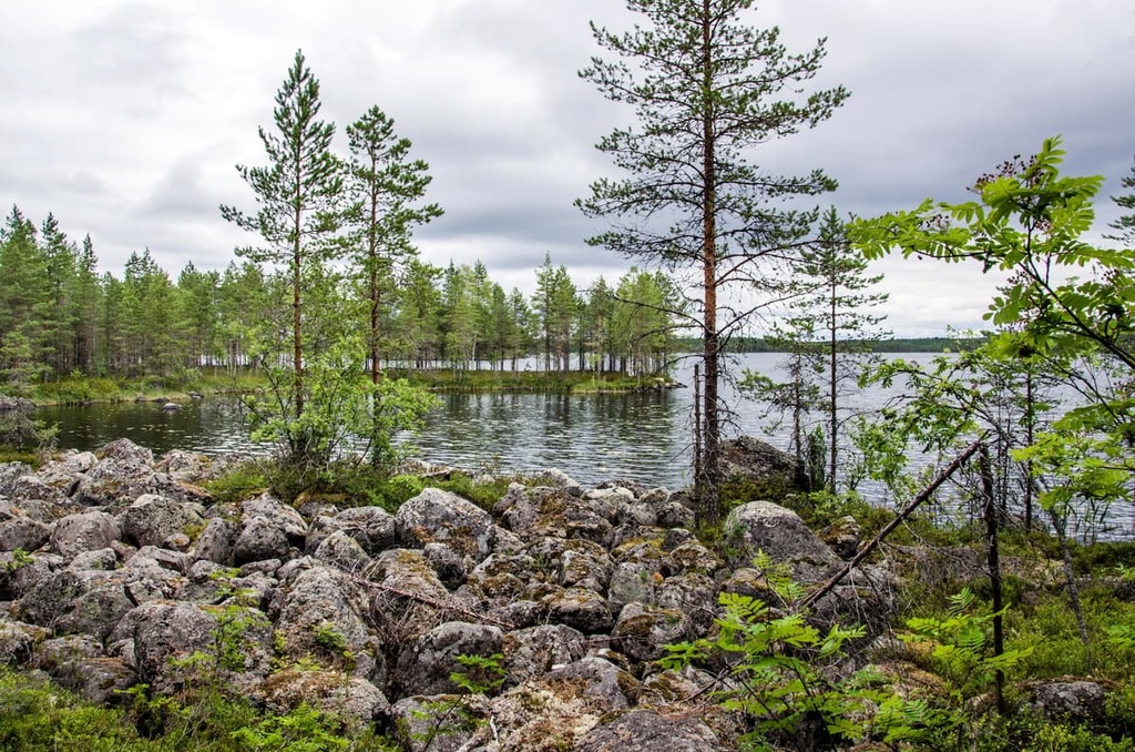 Salamajärvi National Park, Western Finland