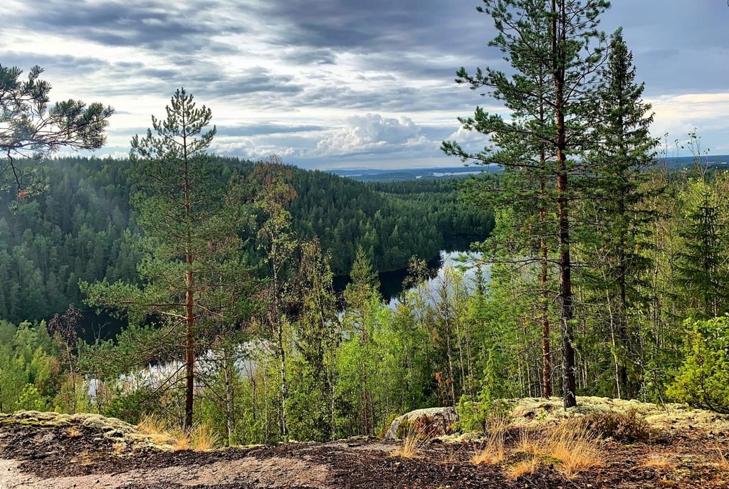 Southern Konnevesi National Park, Western Finland