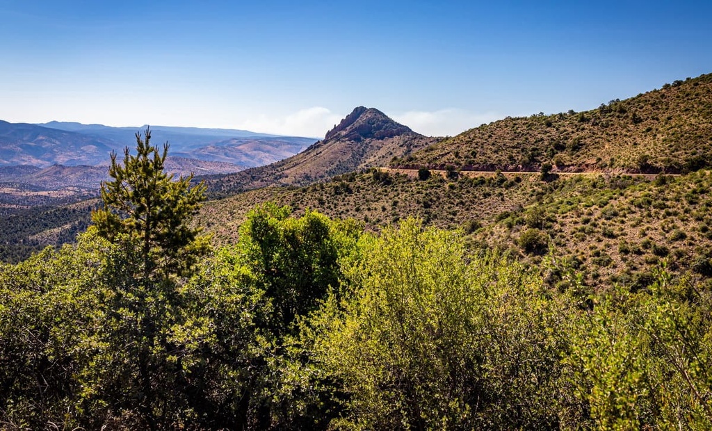 Apache-Sitgreaves National Forest, White Mountains, Arizona