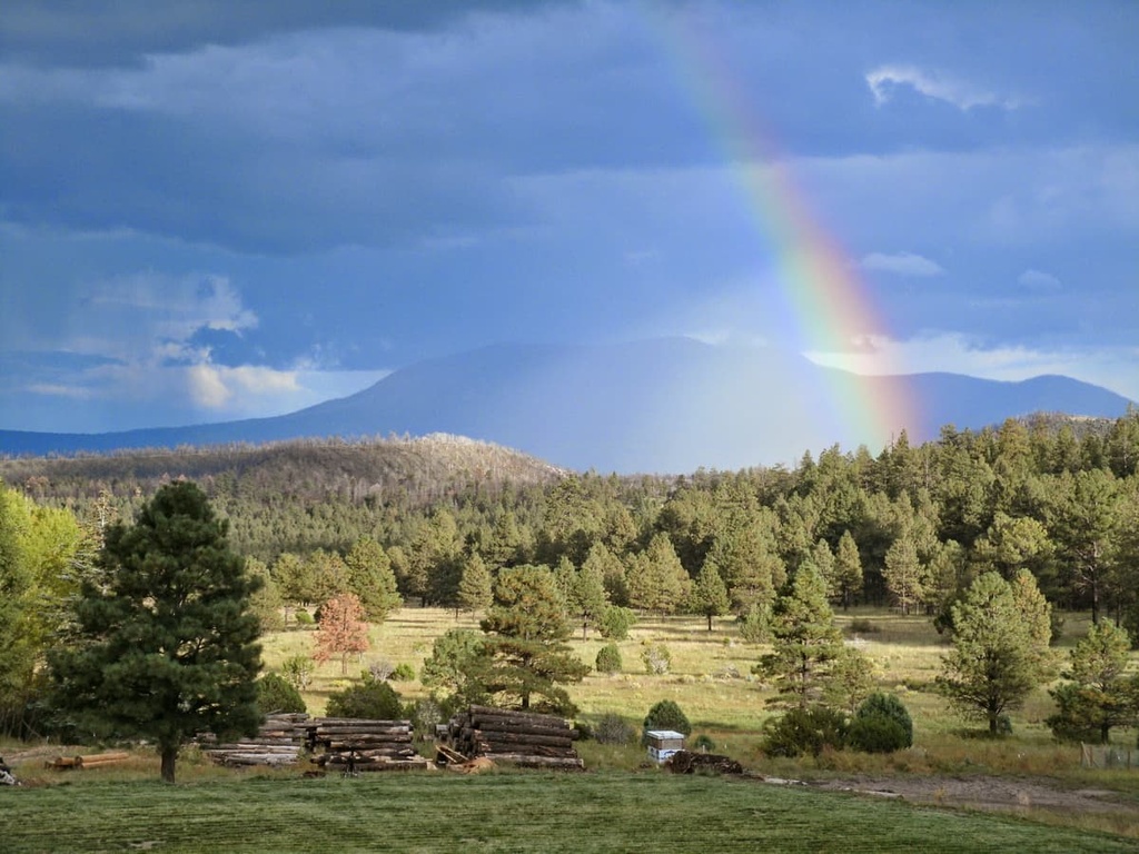 White Mountains, Arizona