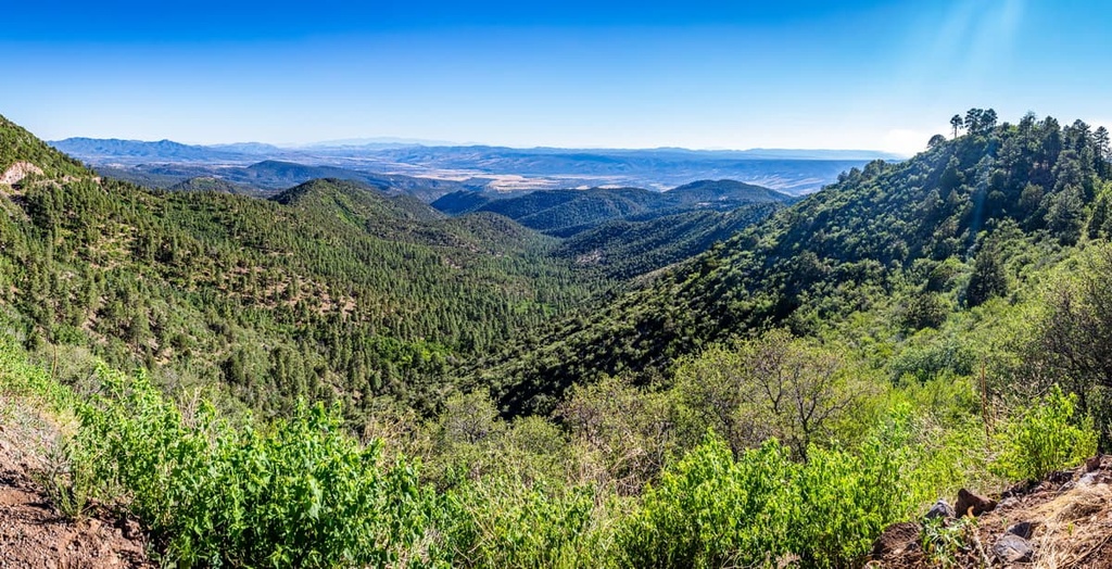 White Mountains, Arizona