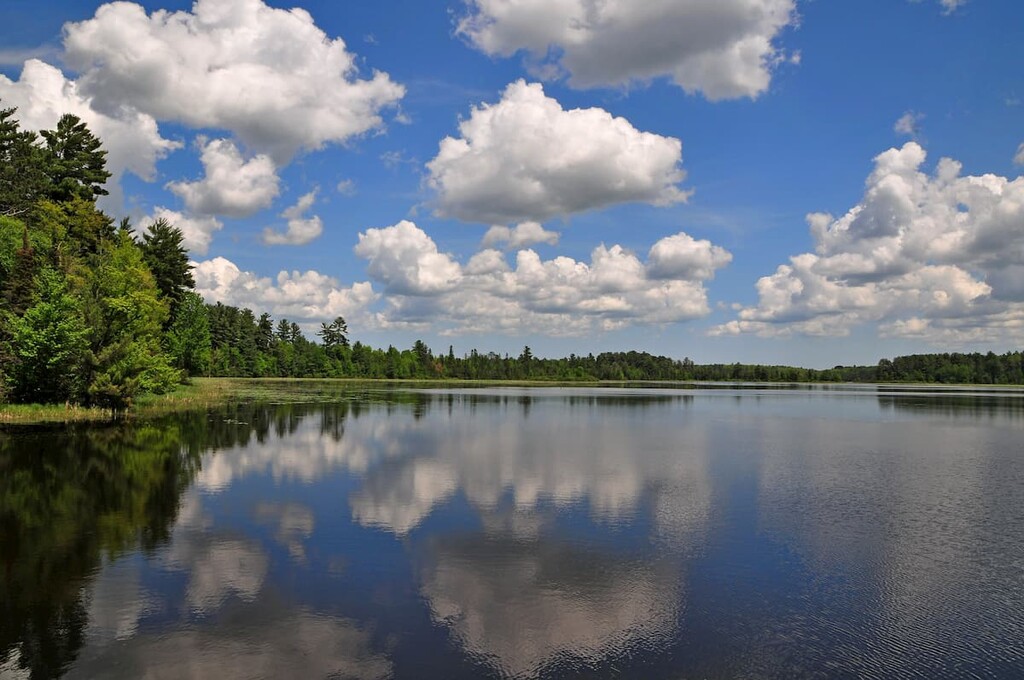 Chequamegon-Nicolet National Forest (Lakewood-Laona District)