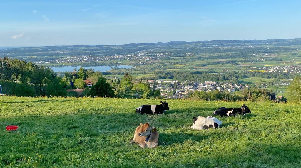 Pfannenstiel, Canton Zurich, Switzerland