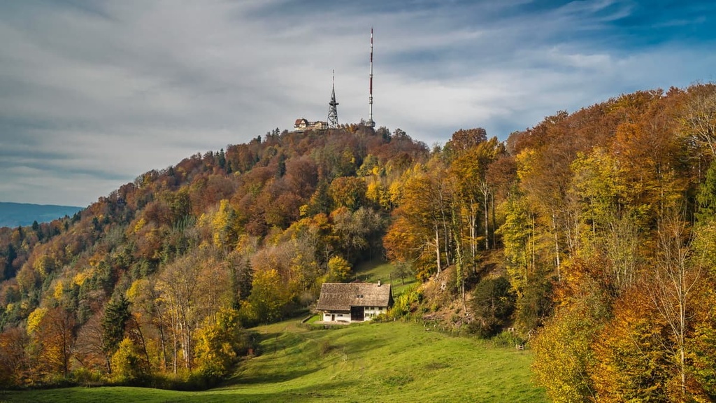 Forests of Uetliberg, Canton Zurich, Switzerland