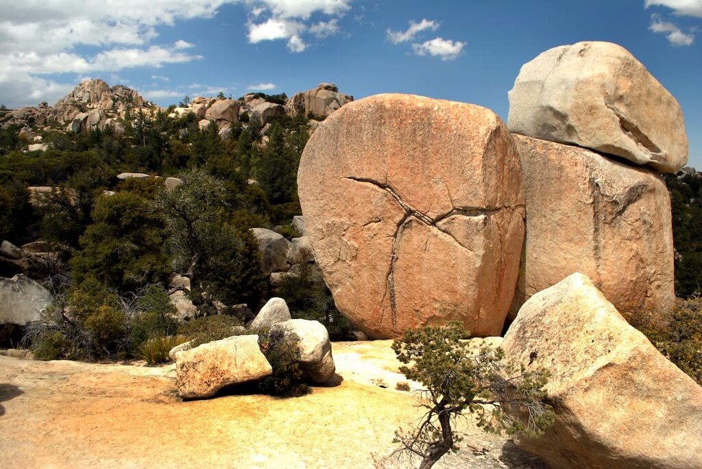 Parque Nacional Constitución de 1857. Baja California