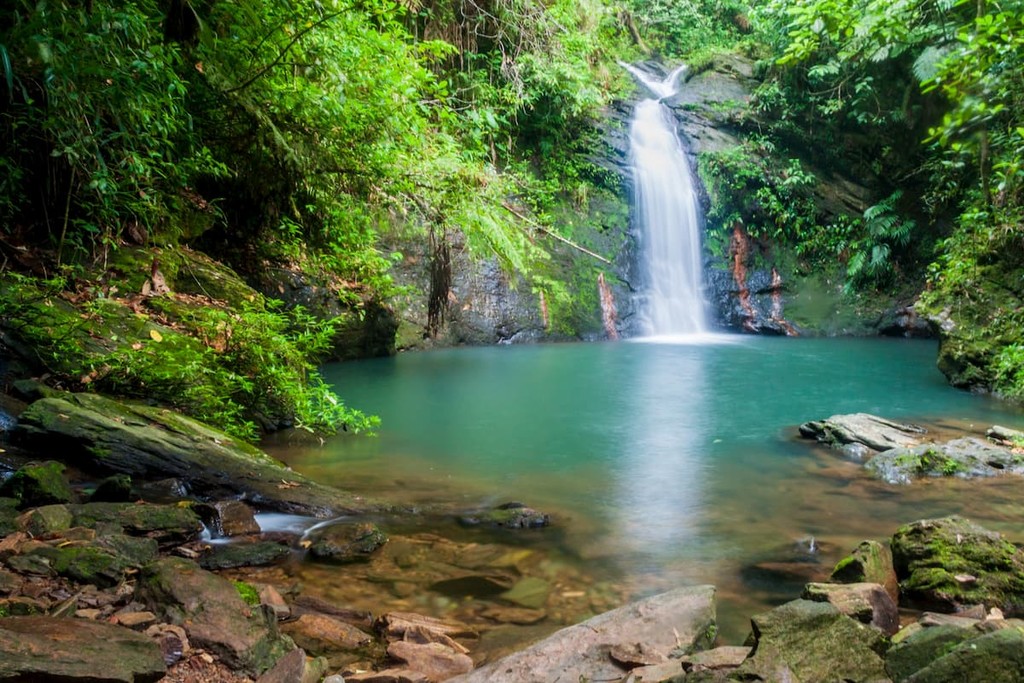Tiger Fern waterfall in Cockscomb Basin Wildlife Sanctuary, Belize