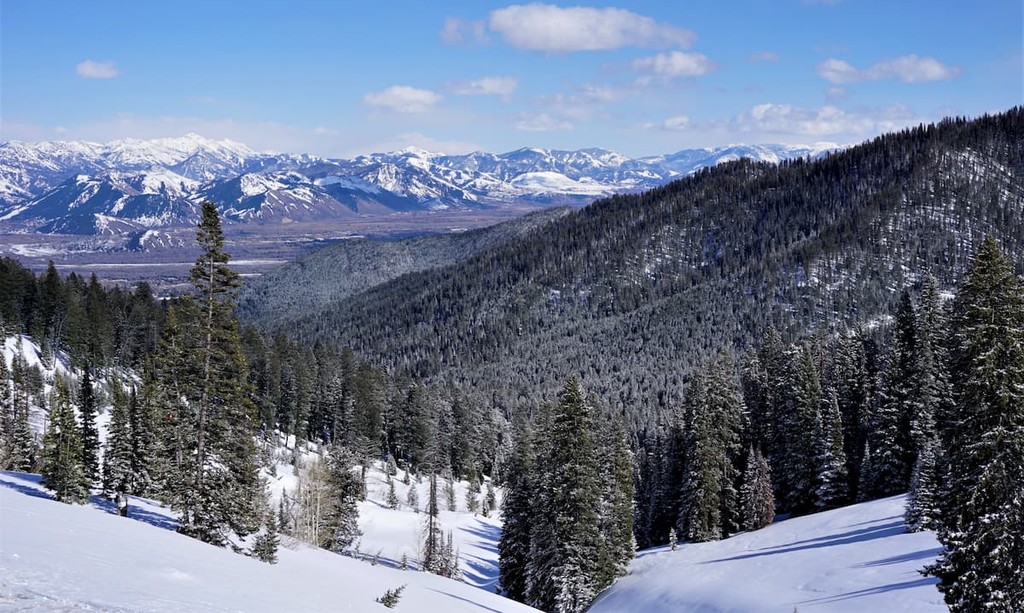 Caribou-Targhee National Forest, Idaho, Utah, USA