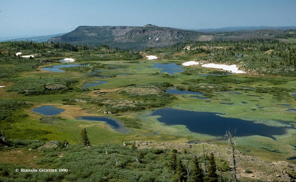 Flat Tops Wilderness, Eagle County, Colorado