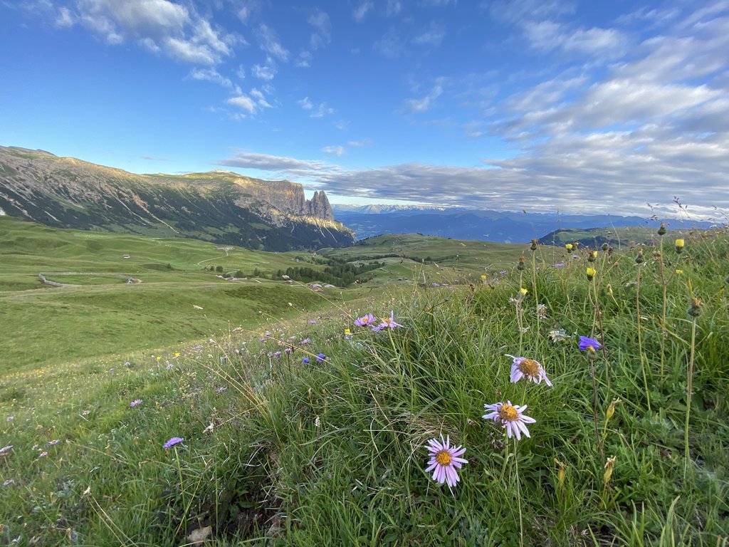 Sciliar and Punta Santner, Schlern Group, Dolomites, Italy