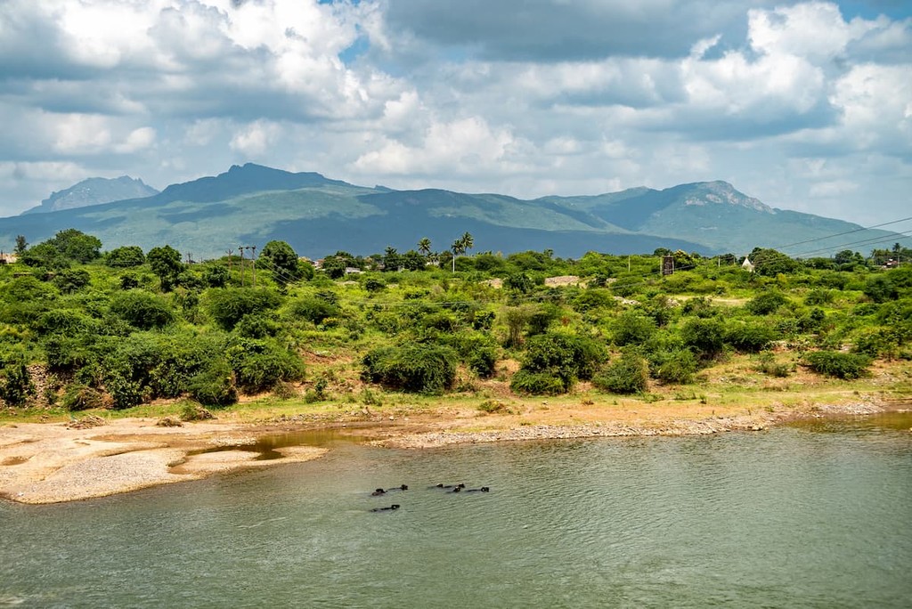 Post monsoon lush green landscape of Sasan Gir, Girnar hills and the farms in Saurashtra region of Gujarat