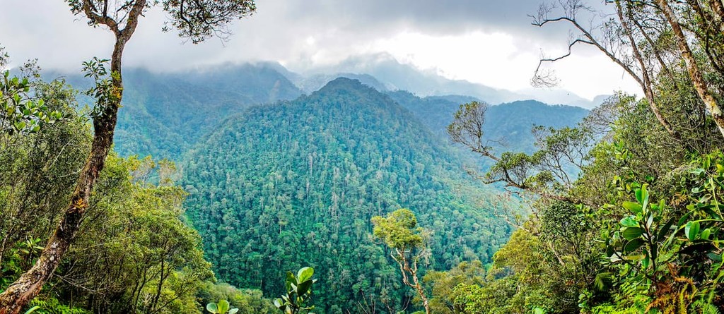 Panacam National Park in Honduras