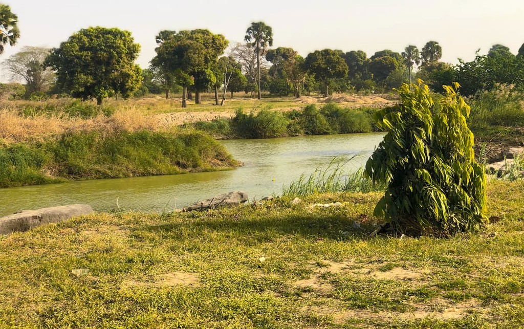 Stream River kaduna croc city, Africa