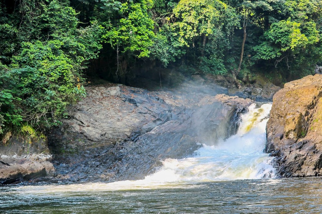 Cross River National Park