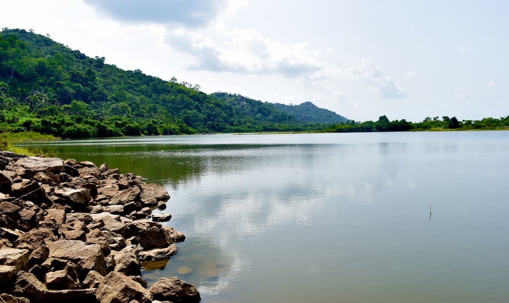 Okomu National Park