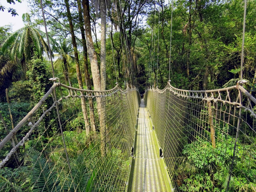 Lekki Conservation Centre