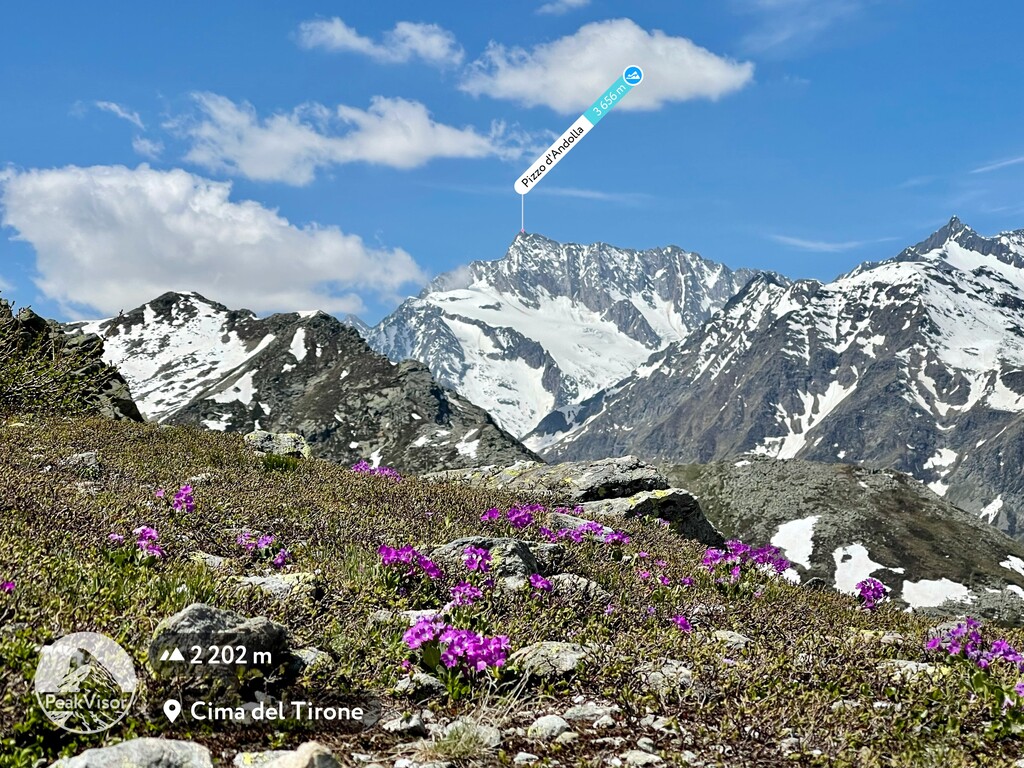 Pizzo d'Andolla, Lepontine Alps