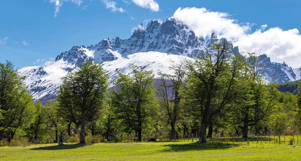national park hill castle. austral highway, chile, XI region of Aysen. Patagonia