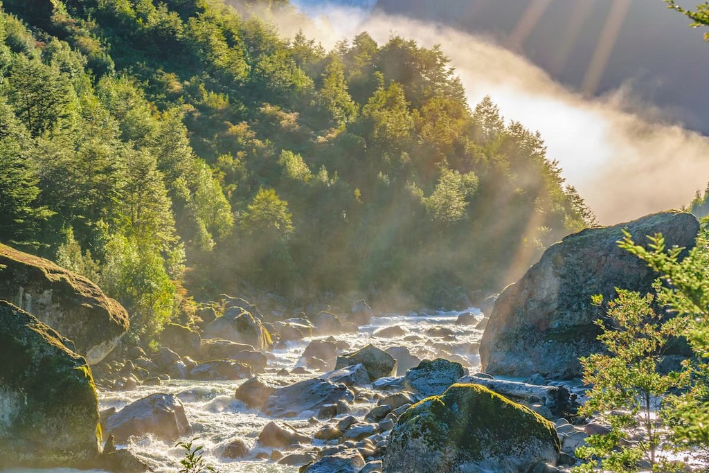 River crossing forest landscape at queulat national park, aysen, chile