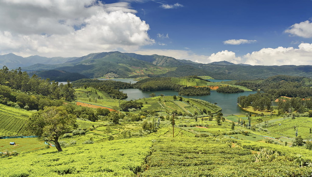 Emerald Lake and village, Nilgiris (Ooty). Tamil Nadu
