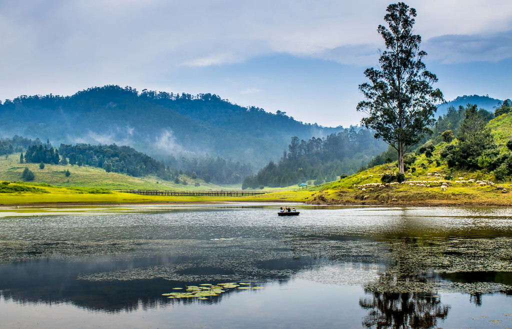 Kodaikanal lake Tamilnadu India